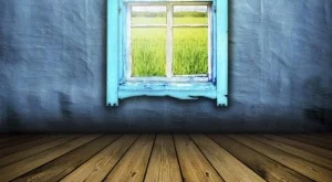 Притча: Синьо или кафяво?