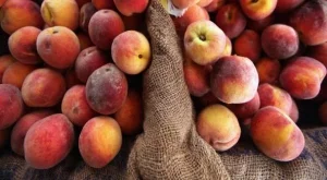 7 млн. лв. потичат към производители на плодове и зеленчуци 