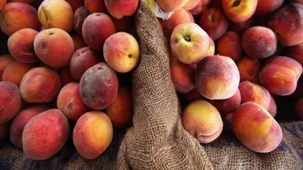 7 млн. лв. потичат към производители на плодове и зеленчуци 