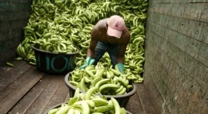 2012/10/31/0502500001380572230