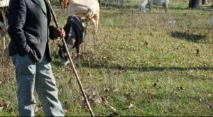 2012/11/05/0628239001380571956