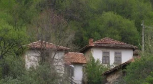 2012/11/07/0735692001380571902