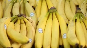 2012/11/09/0019019001380571731