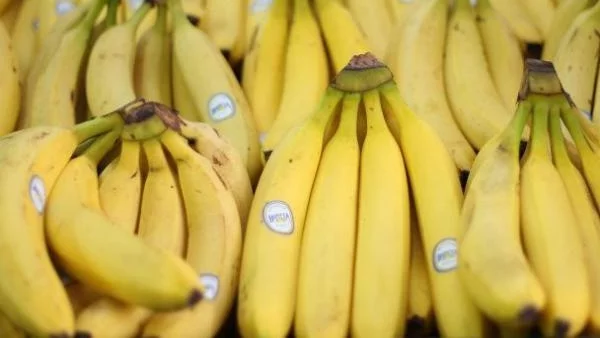 Бананов мир между ЕС и Латинска Америка