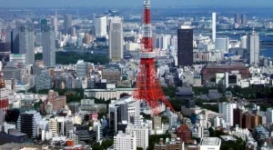 2012/11/12/0779478001380571629