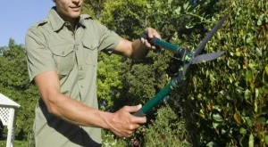 Най-щастливите служители на Острова