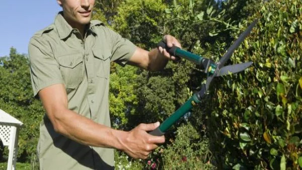 Най-щастливите служители на Острова