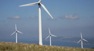 ВЕИ-браншът: Държавата ни измами