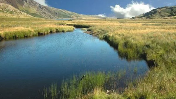 Водният сектор на България е стратегическо предимство