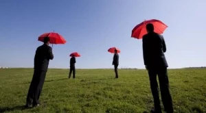 Първо застраховаме колата, после мислим за имота и живота си