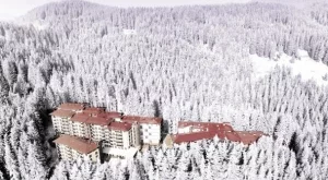 2012/12/12/0398908001380570044