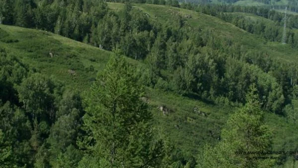 Po Nova Metodika She Se Izchislyava Cenata Na Pozemleni Imoti V Gorski Teritorii