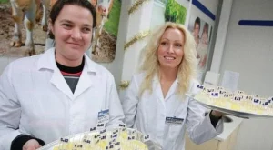 2012/12/14/0176134001380569912