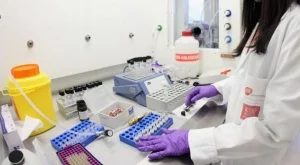 Топ 10 на най-безсмислените научни изследвания за 2012 г.