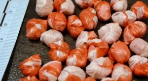 2013/01/04/0001815001380569189