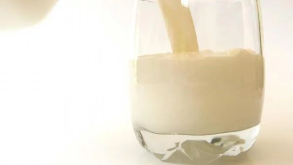 Голяма част от българското мляко може да излезе от хранителната верига