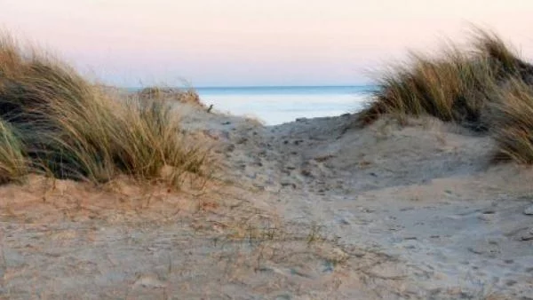 Близо 100 заменки са дадени за проверка