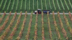 2013/01/18/0229961001380568554