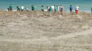 1,5 млн. лева за незаконни разрешителни за строеж на "Корал"