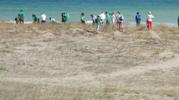 1,5 млн. лева за незаконни разрешителни за строеж на "Корал"