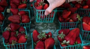 2013/02/16/0834090001380567305