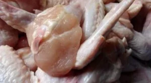 2013/02/21/0521834001380567063