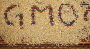 2013/02/27/0709578001380566803