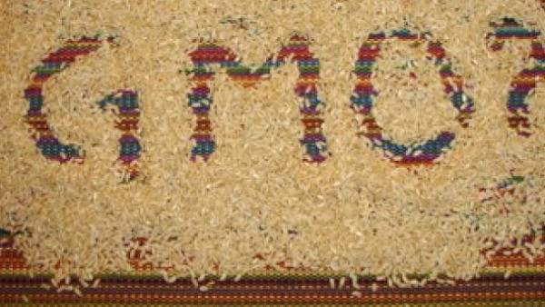 Бразилия принуди Монсанто да преразгледа политиката си за ГМО семена на соя