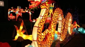 2013/03/11/0000051001380566272