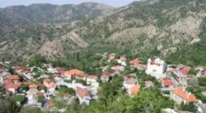 2013/03/19/0597445001380565846