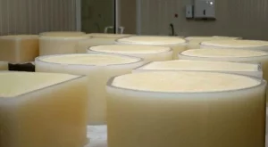 2013/04/02/0542121001380565121