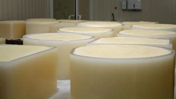 Млекопреработвателите удариха Наредбата за производство на мляко