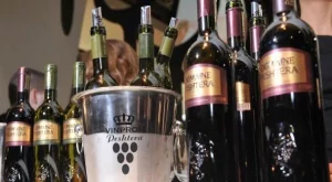 2013/04/03/0448758001380565076