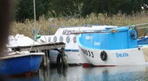 2013/04/04/0637162001380565034