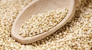 За какво е полезна киноата