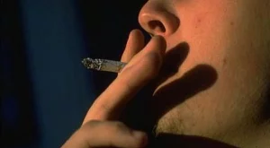 2013/04/15/0086971001380564531