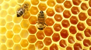 2013/04/24/0855237001380564032