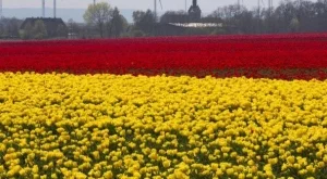 Не всички европейски държави могат да следват икономическият модел на Германия