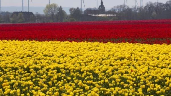 Не всички европейски държави могат да следват икономическият модел на Германия