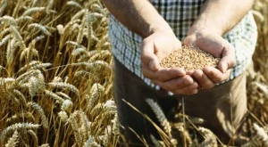 2013/06/05/0732462001380561874