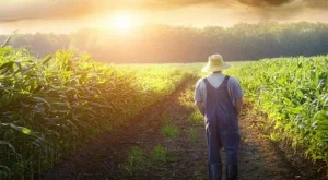 2013/06/13/0946580001380561390