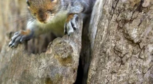 11 странни причини за гигантски токови удари