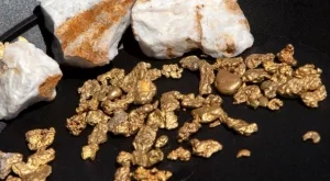 2013/06/20/0573429001380560973