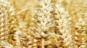 2013/06/21/0471680001380560895