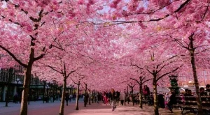 Абеномиката в надпревара с времето