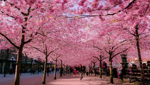 Абеномиката в надпревара с времето