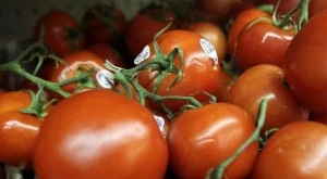 2013/06/28/0269647001380560520