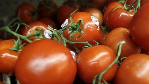 Зеленчукопроизводители изхвърлиха реколтата си на пътя, блокираха го