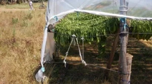 2013/07/04/0191339001380560174