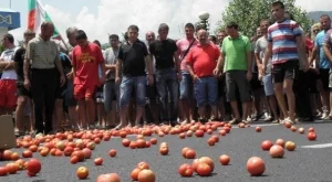 2013/07/05/0599734001380560105